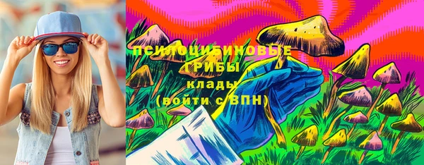 гидра Струнино