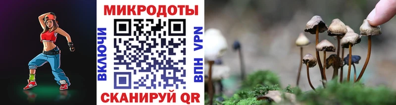 Купить где  Константиновск  Псилоцибиновые грибы мицелий 